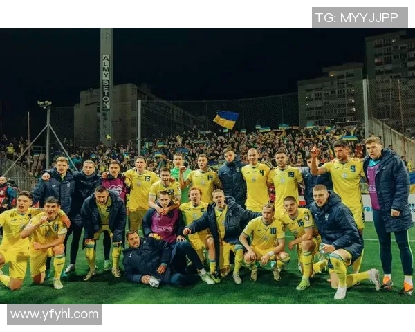 波黑与爱尔兰激战欧洲杯预选赛双方争夺晋级机会 波黑与爱尔兰激战欧洲杯预选赛双方争夺晋级机会