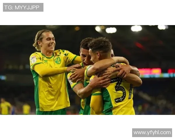 诺维奇对赫尔城比赛结果分析及精彩瞬间回顾