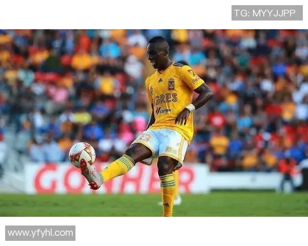 内卡萨与老虎大学激战正酣谁能在这场对决中笑到最后 内卡萨与老虎大学激战正酣谁能在这场对决中笑到最后