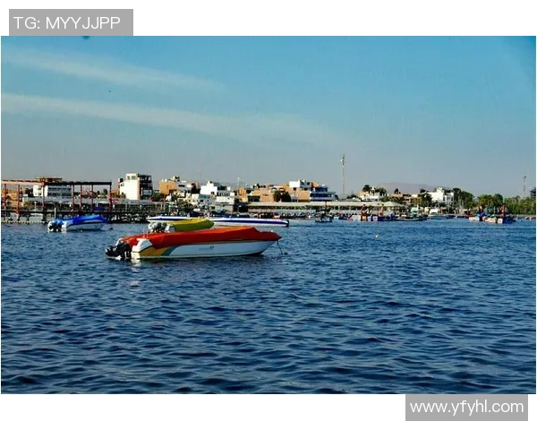 圣马丁与防御正义的深度解析与对比研究 圣马丁与防御正义的深度解析与对比研究